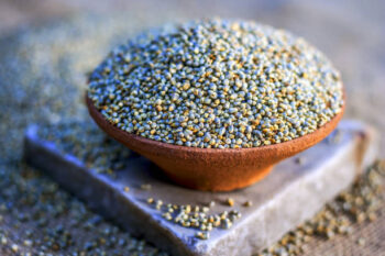 Kambu (Pearl Millet): A Nutritious Superfood for Modern Lifestyles